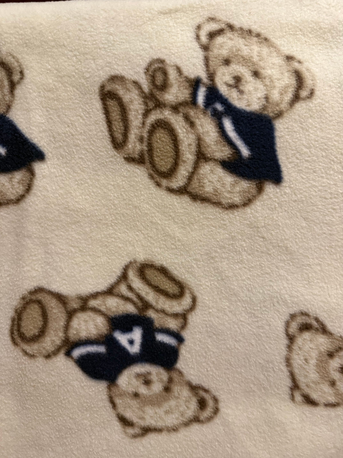 Cream Teddy Bear