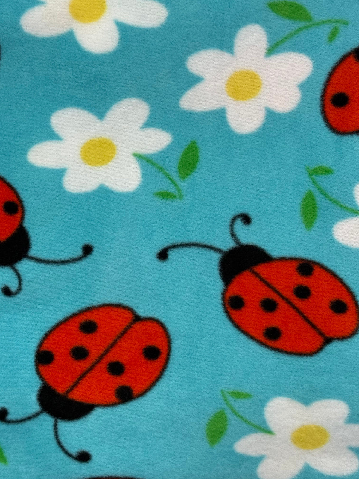 Ladybug & Daisies