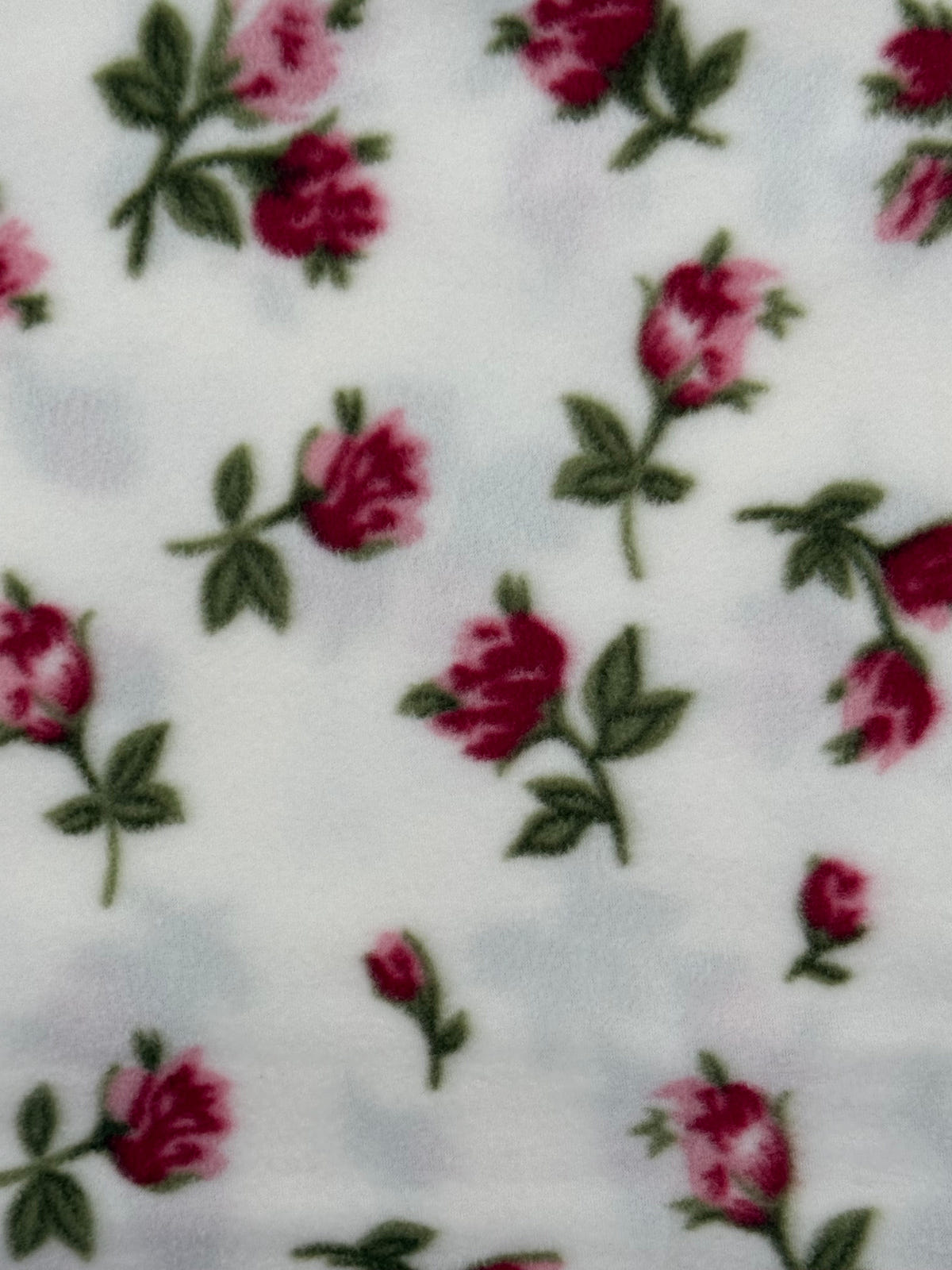 Rose Buds