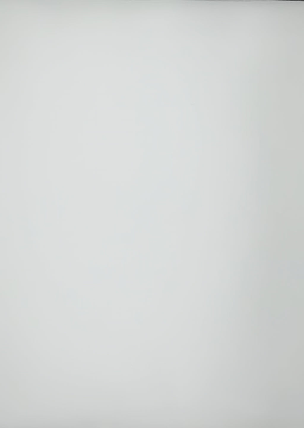 Polyester Cotton | Broadcloth Fabric By The Roll | 120 Yard