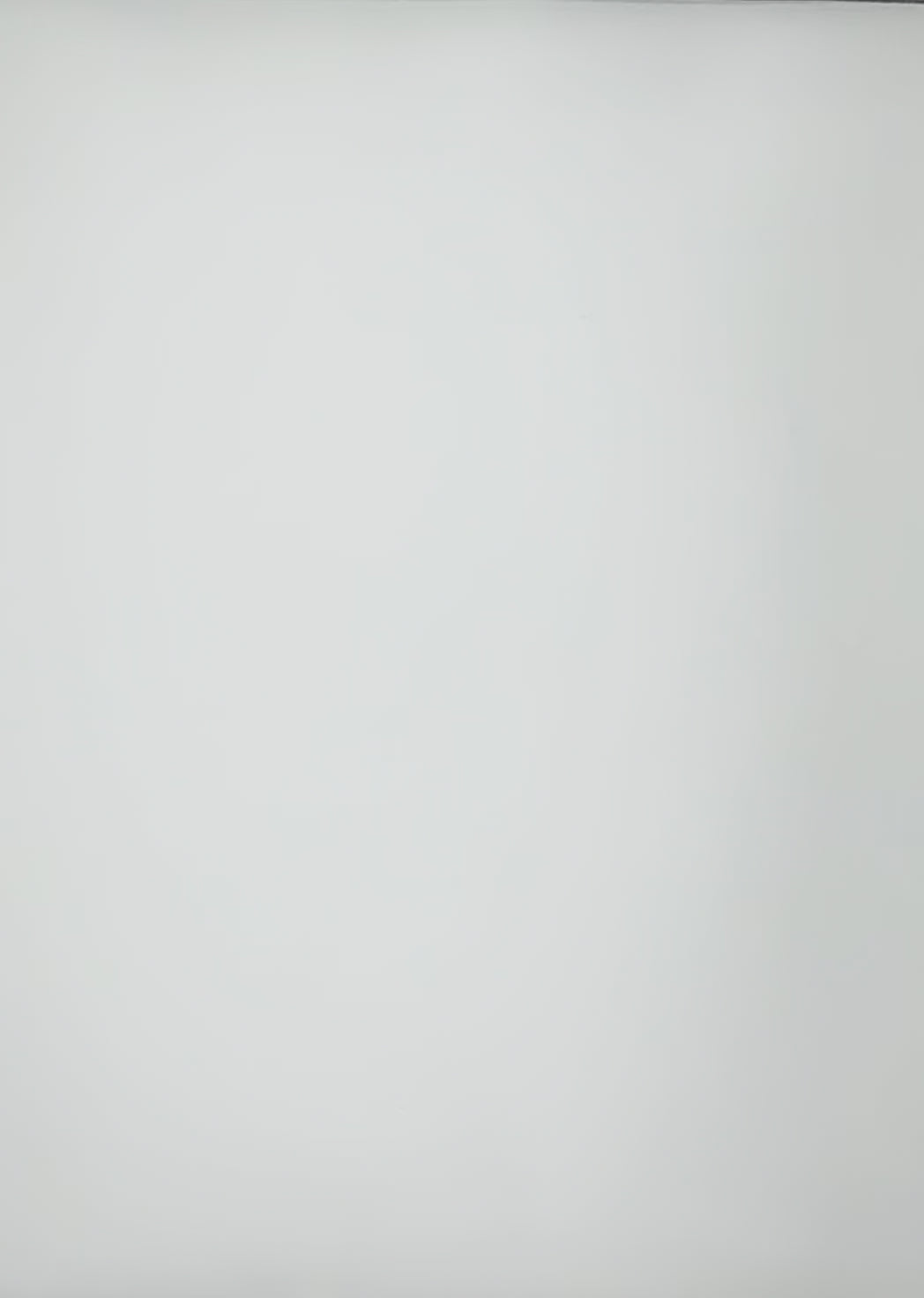 Polyester Cotton | Broadcloth Fabric By The Roll | 120 Yard
